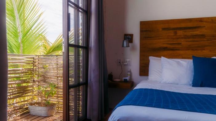 Hotel Baja House Todos Santos Exteriér fotografie