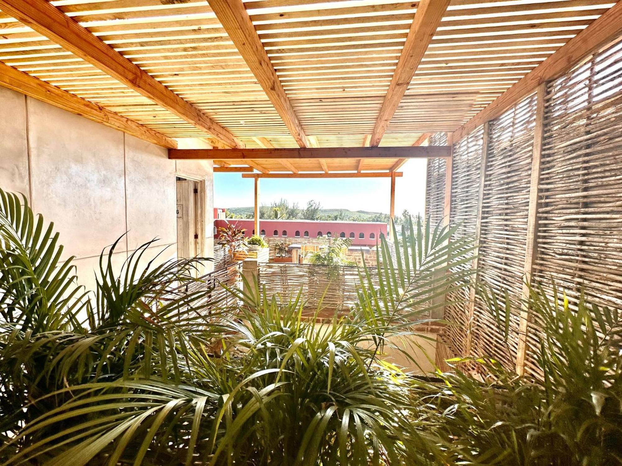 Hotel Baja House Todos Santos Exteriér fotografie