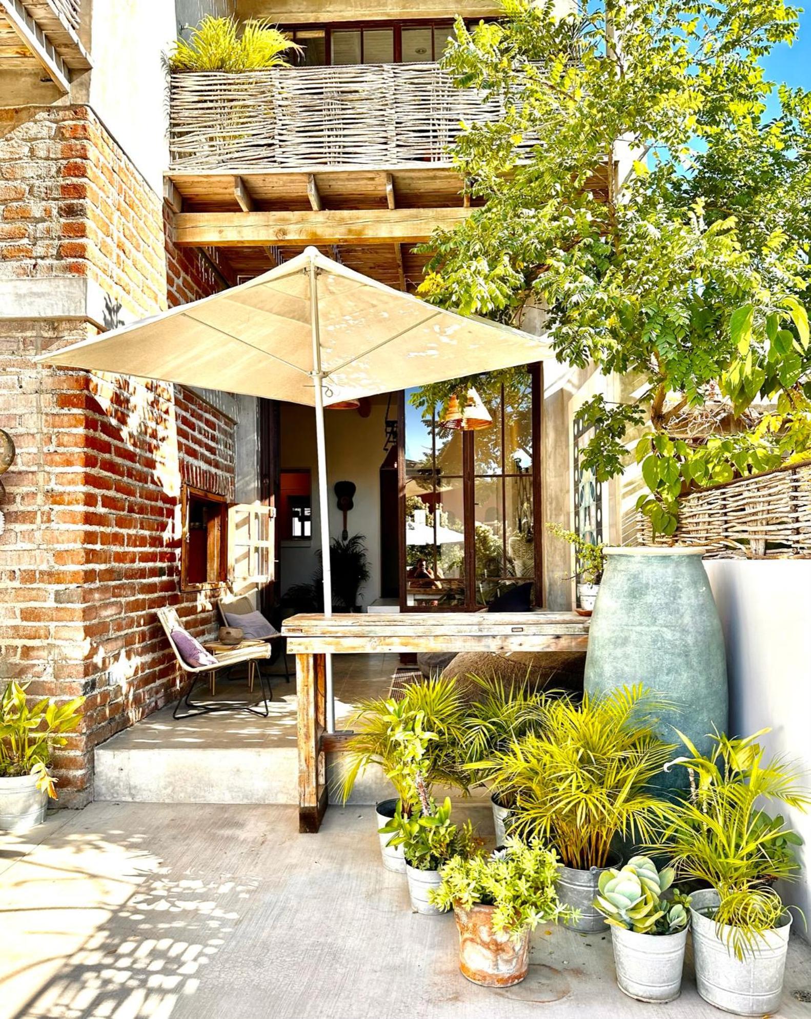Hotel Baja House Todos Santos Exteriér fotografie